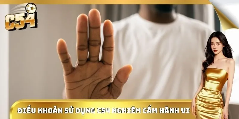 Điều khoản sử dụng C54 nghiêm cấm hành vi