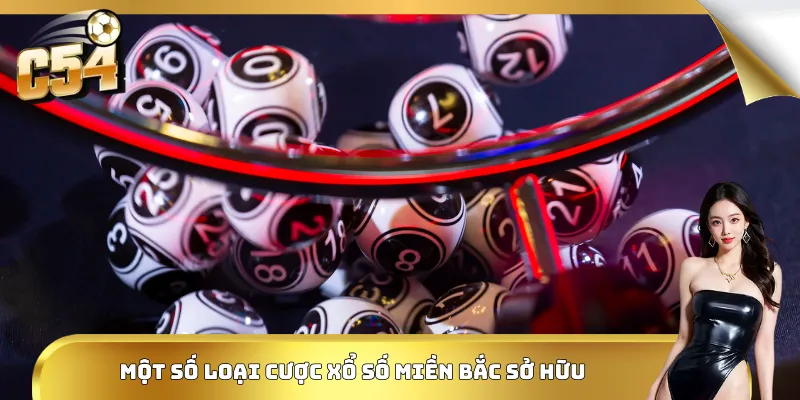 Một số loại cược xổ số miền Bắc sở hữu