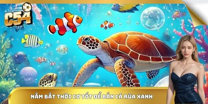 Nắm bắt thời cơ tốt để bắn cá rùa xanh