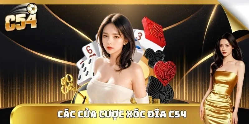 Phân tích các cửa cược phổ biến nhất trên thị trường