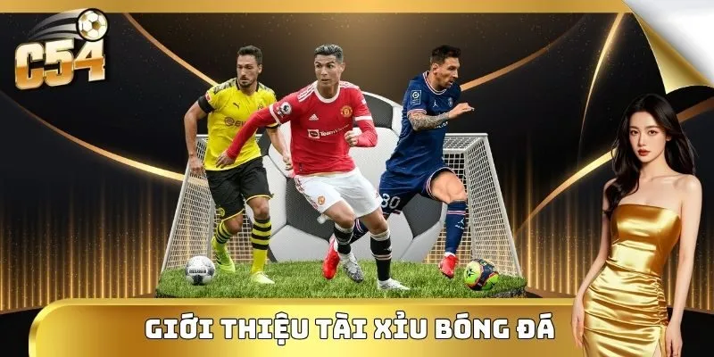 Thông tin cơ bản của kèo tài xỉu bóng đá C54